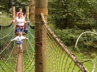 Rope Bridge